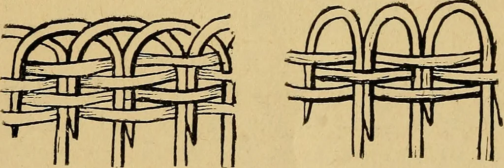 An illustration from Reed and raffia construction work in primary schools; a practical manual especially for primary-kindergarten teachers .., 1904, leaf 36