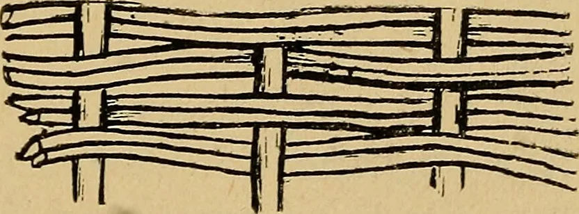 An illustration from Reed and raffia construction work in primary schools; a practical manual especially for primary-kindergarten teachers .., 1904, leaf 36