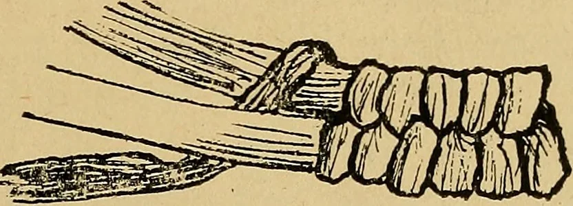 An illustration from Reed and raffia construction work in primary schools; a practical manual especially for primary-kindergarten teachers .., 1904, leaf 38