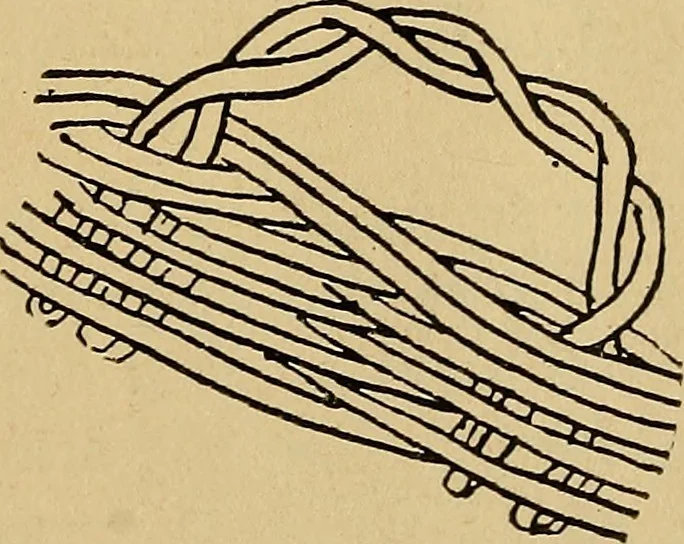 An illustration from Reed and raffia construction work in primary schools; a practical manual especially for primary-kindergarten teachers .., 1904, leaf 38