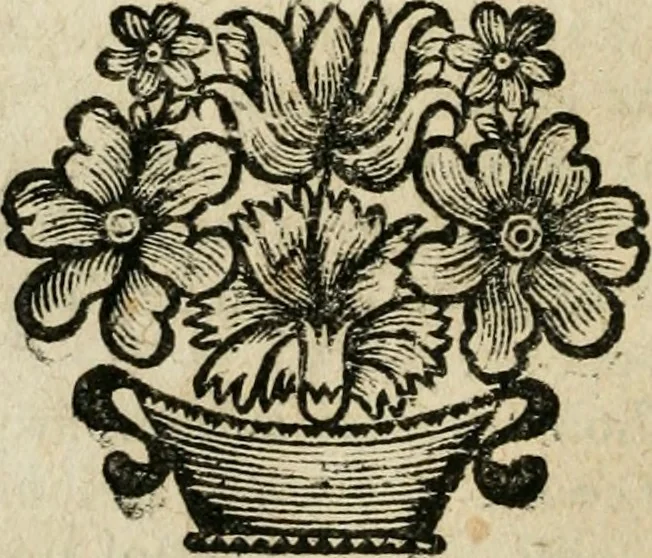 An illustration from Reflexions chrétiennes, 1684, leaf 207