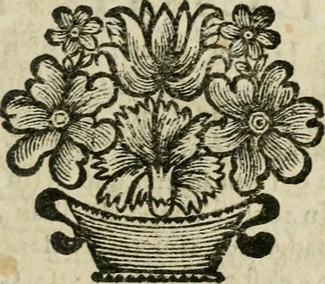An illustration from Reflexions chrétiennes, 1684, leaf 334