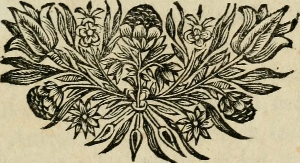 An illustration from Reflexions chrétiennes, 1684, leaf 4