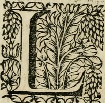 An illustration from Reflexions chrétiennes, 1684, leaf 71