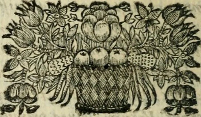 An illustration from Reflexions sur les différends de la religion : avec les preuves de la tradition ecclésiastique par diverses traductions des saints pères, sur chaque pointe contesté, 1686, leaf 151