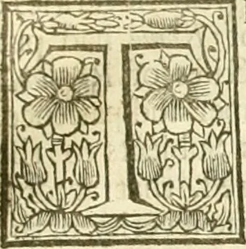 An illustration from The history of the reformation of the Church of England, 1681, leaf 212