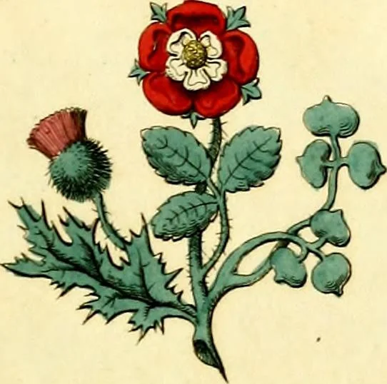 An illustration from Regal heraldry; the armorial insignia of the Kings and Queens of England, from coeval authorities, 1821, leaf 196
