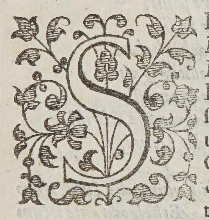 An illustration from Reges, reginae, nobiles, et alij in ecclesia collegiata B. Petri Westmonasterij sepulti, vsque ad annum reparatae salutis 1606, 1606, leaf 9