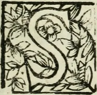 An illustration from Regiae villae poetice descriptae : et Regiae Celsitudini Victoris Amadeii II sabaudiae, et montisferrati ducis pedemontii principis, cypri regis, &c., 1711, leaf 10