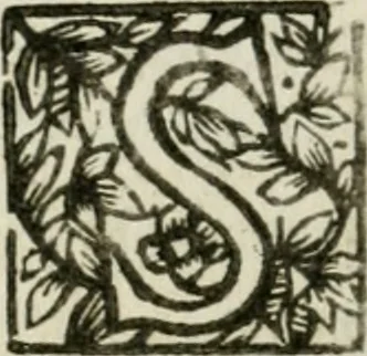 An illustration from Regiae villae poetice descriptae : et Regiae Celsitudini Victoris Amadeii II sabaudiae, et montisferrati ducis pedemontii principis, cypri regis, &c., 1711, leaf 121