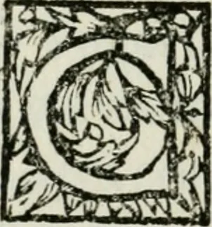 An illustration from Regiae villae poetice descriptae : et Regiae Celsitudini Victoris Amadeii II sabaudiae, et montisferrati ducis pedemontii principis, cypri regis, &c., 1711, leaf 199