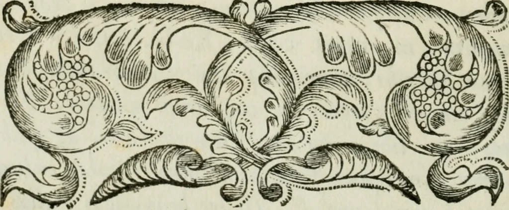 An illustration from Regiae villae poetice descriptae : et Regiae Celsitudini Victoris Amadeii II sabaudiae, et montisferrati ducis pedemontii principis, cypri regis, &c., 1711, leaf 25