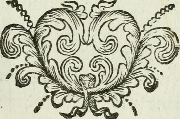 An illustration from Regiae villae poetice descriptae : et Regiae Celsitudini Victoris Amadeii II sabaudiae, et montisferrati ducis pedemontii principis, cypri regis, &c., 1711, leaf 56