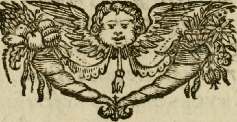 An illustration from Regia via crucis, 1635, leaf 169