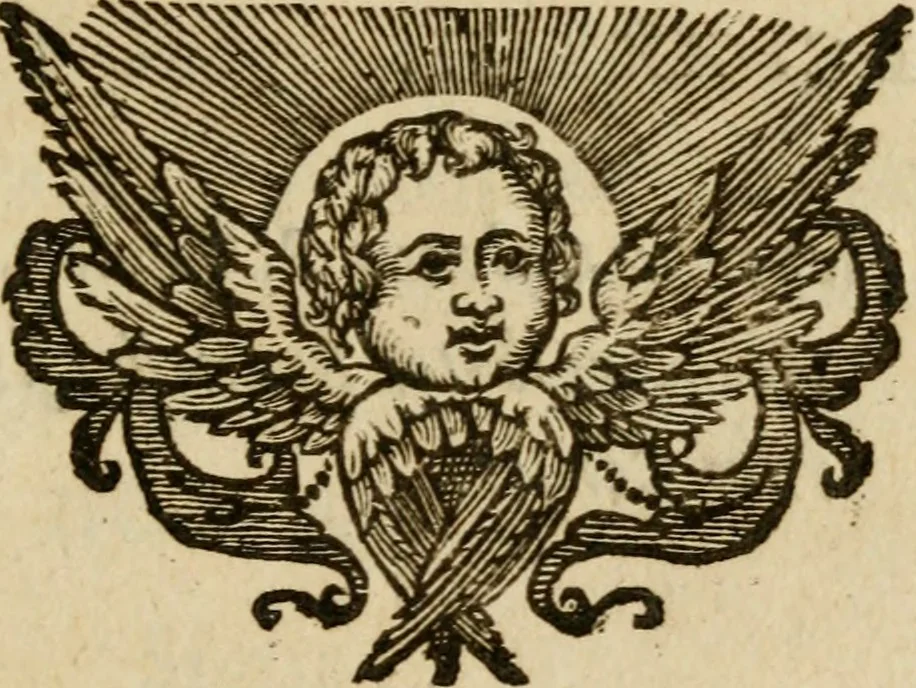An illustration from Regia via crucis, 1635, leaf 28