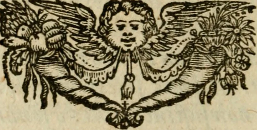 An illustration from Regia via crucis, 1635, leaf 289