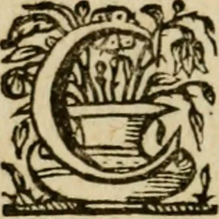 An illustration from Regia via crucis, 1635, leaf 37