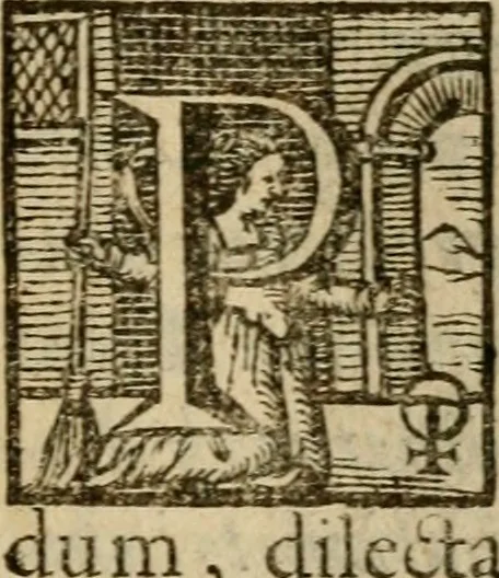 An illustration from Regia via crucis, 1635, leaf 422