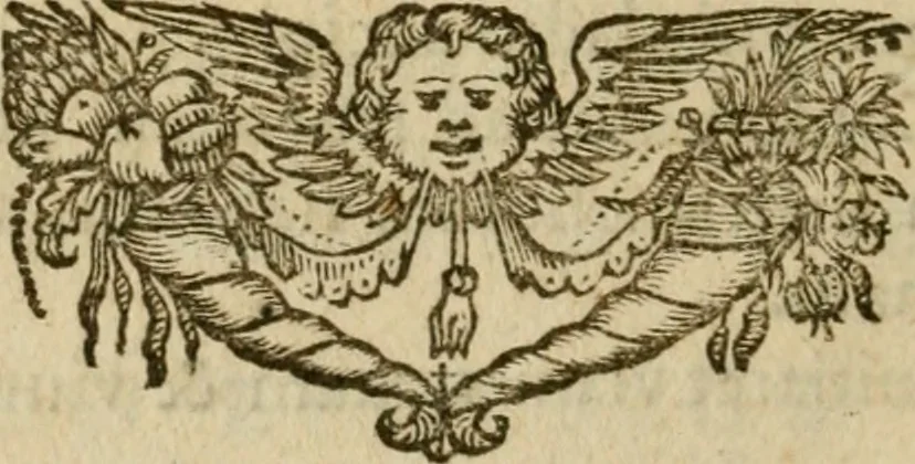 An illustration from Regia via crucis, 1635, leaf 459