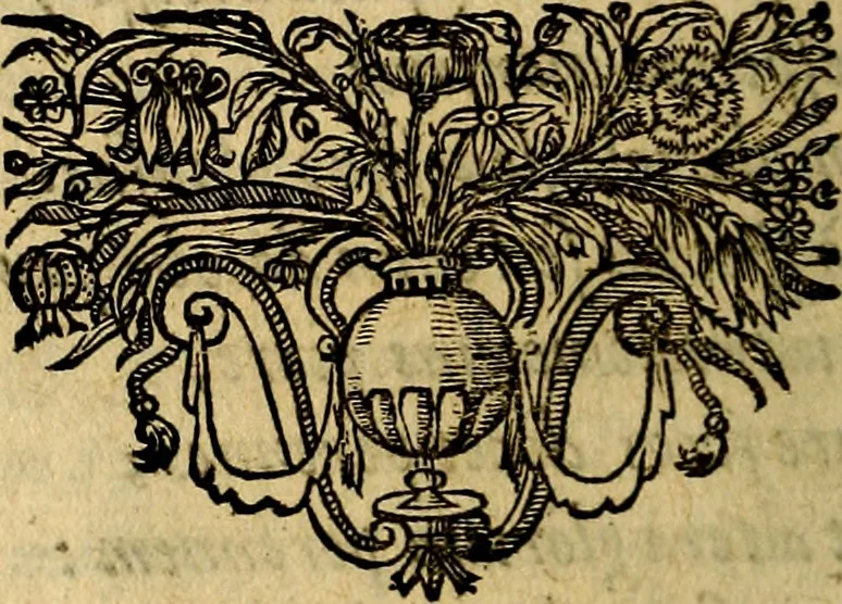 An illustration from Regia via crucis, 1635, leaf 161