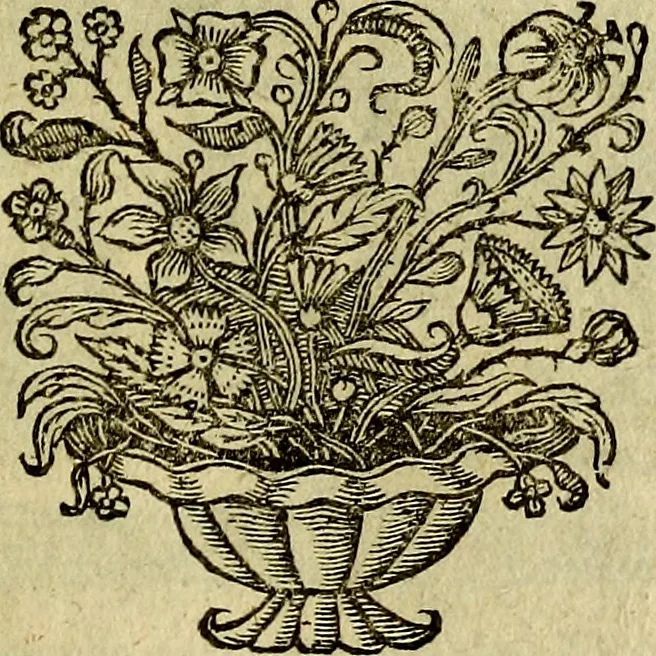 An illustration from Regia via crucis, 1635, leaf 178
