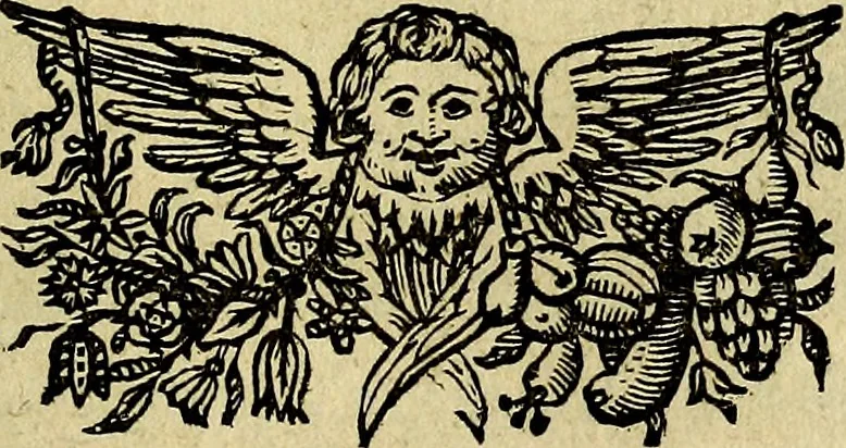 An illustration from Regia via crucis, 1635, leaf 204