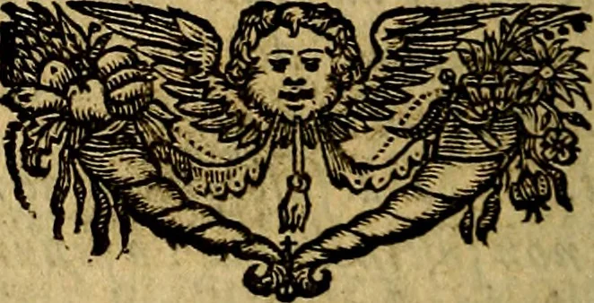 An illustration from Regia via crucis, 1635, leaf 289