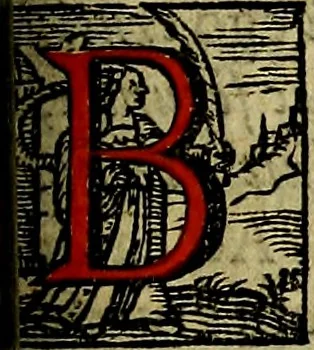 An illustration from Regia via crucis, 1635, leaf 316