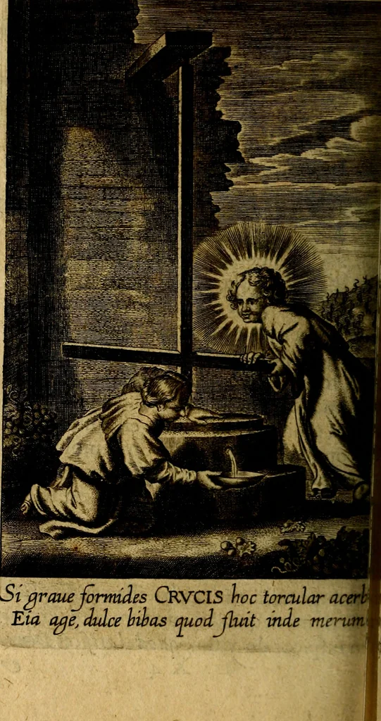 An illustration from Regia via crucis, 1635, leaf 371