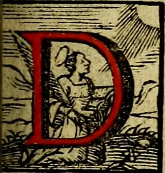 An illustration from Regia via crucis, 1635, leaf 402