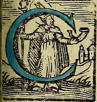 An illustration from Regia via crucis, 1635, leaf 412