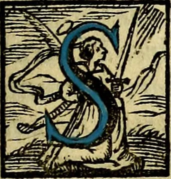 An illustration from Regia via crucis, 1635, leaf 82