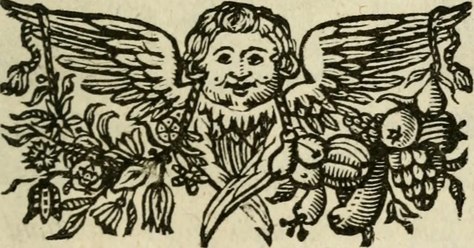 An illustration from Regia via crvcis, 1635, leaf 204