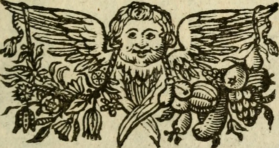 An illustration from Regia via crvcis, 1635, leaf 346