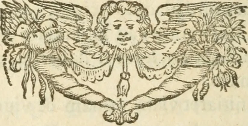 An illustration from Regia via crvcis, 1635, leaf 459