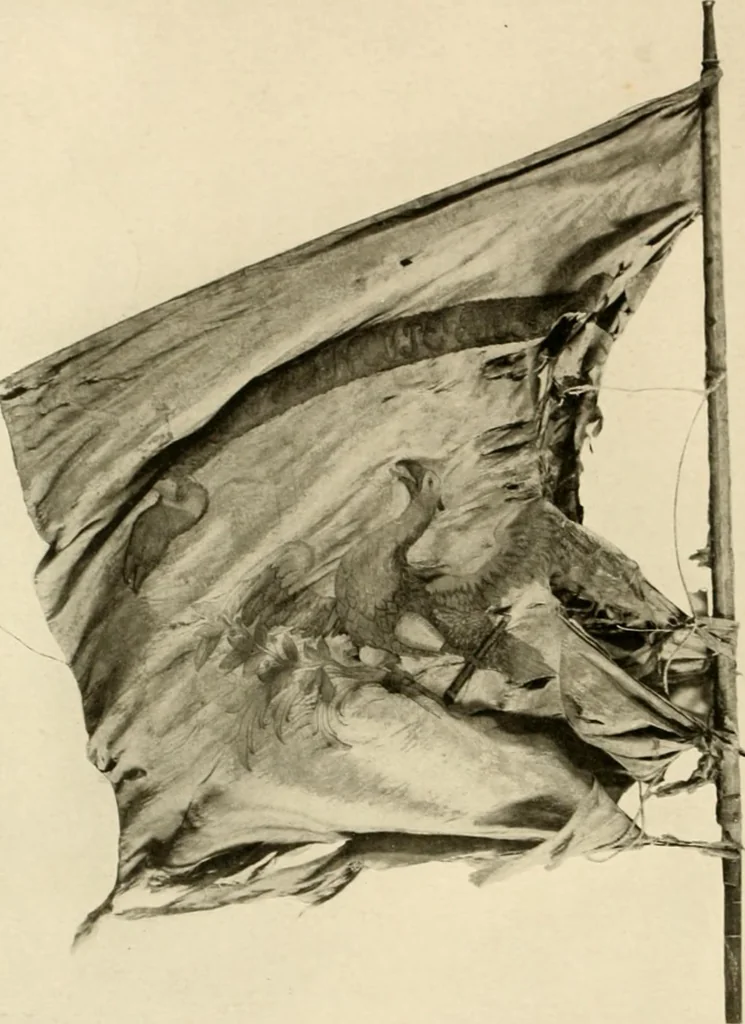 An illustration from Regimental colors in the war of the revolution, by Gherardi Davis, 1907, leaf 119