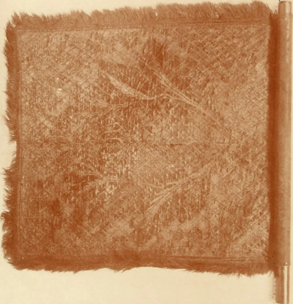 An illustration from Regimental colors in the war of the revolution, by Gherardi Davis, 1907, leaf 61