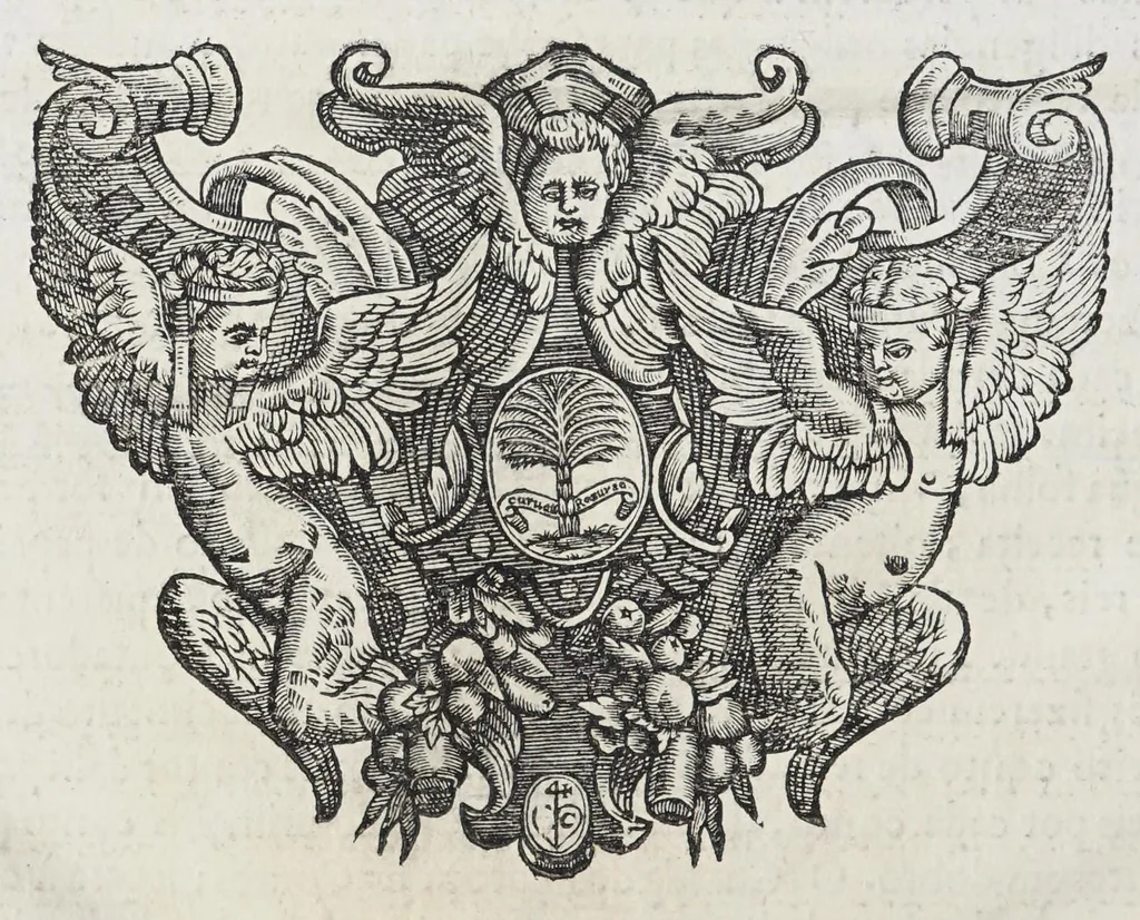 An illustration from Regimento dos Contos., 1669, leaf 100