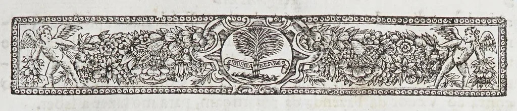 An illustration from Regimento dos Contos., 1669, leaf 21