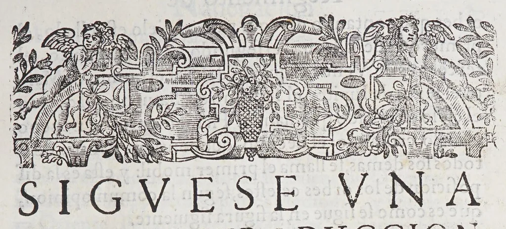 An illustration from Regimiento de nauegacion q[ue] mando haser el rei nuestro señor por orden de su Conseio Real de las Indias, 1606, leaf 17