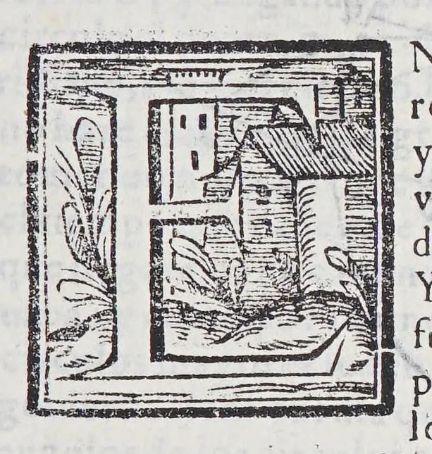 An illustration from Regimiento de nauegacion q[ue] mando haser el rei nuestro señor por orden de su Conseio Real de las Indias, 1606, leaf 253