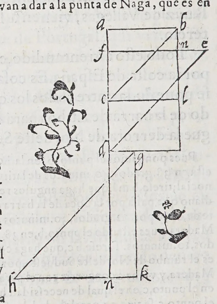 An illustration from Regimiento de nauegacion q[ue] mando haser el rei nuestro señor por orden de su Conseio Real de las Indias, 1606, leaf 276