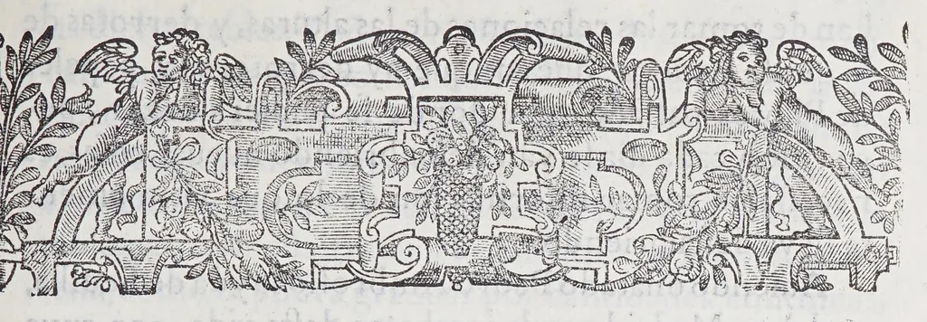 An illustration from Regimiento de nauegacion q[ue] mando haser el rei nuestro señor por orden de su Conseio Real de las Indias, 1606, leaf 247
