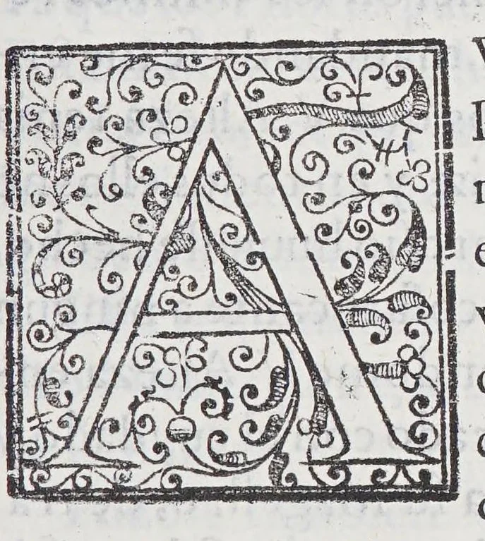 An illustration from Regimiento de nauegacion q[ue] mando haser el rei nuestro señor por orden de su Conseio Real de las Indias, 1606, leaf 247