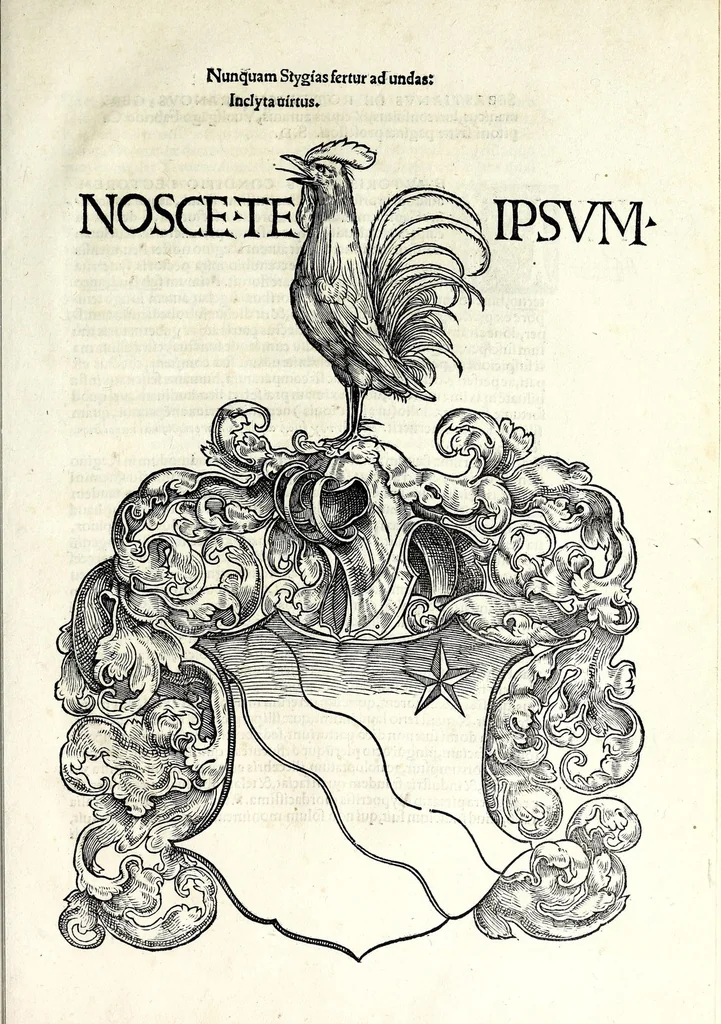An illustration from Reginonis monachi prvmiensis Annales : non tam de Avgvstorvm vitis, qvam aliorvm Germanorvm gestis et docte et compendiose disserentes, ante sexingentos fere annos editi, 1521, leaf 155