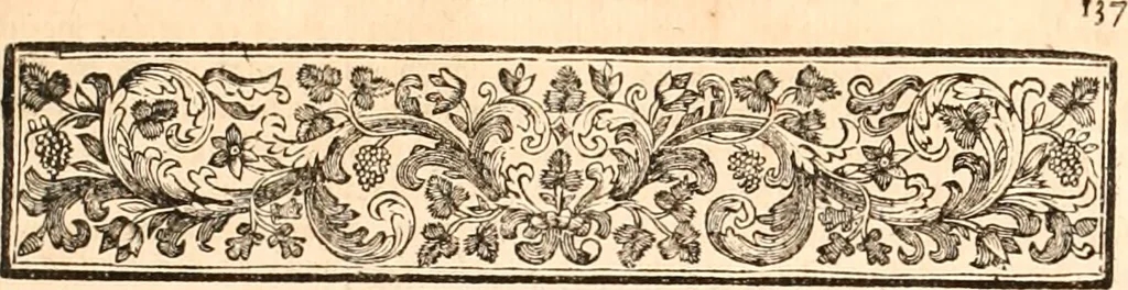 An illustration from Regiæ Scientiarum Academiæ Historia, 1698, leaf 158
