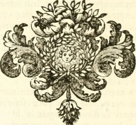 An illustration from Regiæ Scientiarum Academiæ Historia, 1698, leaf 243