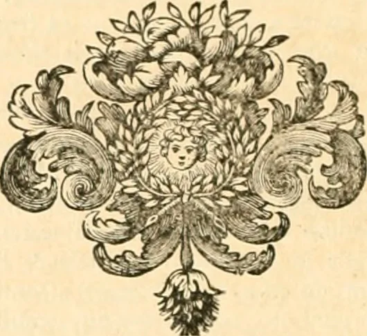 An illustration from Regiæ Scientiarum Academiæ Historia, 1698, leaf 301