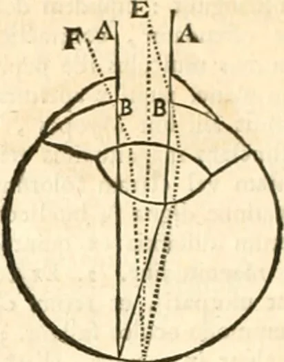 An illustration from Regiæ Scientiarum Academiæ Historia, 1698, leaf 339