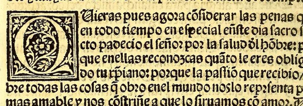 An illustration from Regla christiana breue: : p[ar]a ordenar la vida y t[i]po d[e]l [crist]iano q[ue] se q[ui]ere saluar y tener su alma dispuesta: p[ar]a q[ue] Jesu [Crist]o more en ella., 1547, leaf 160